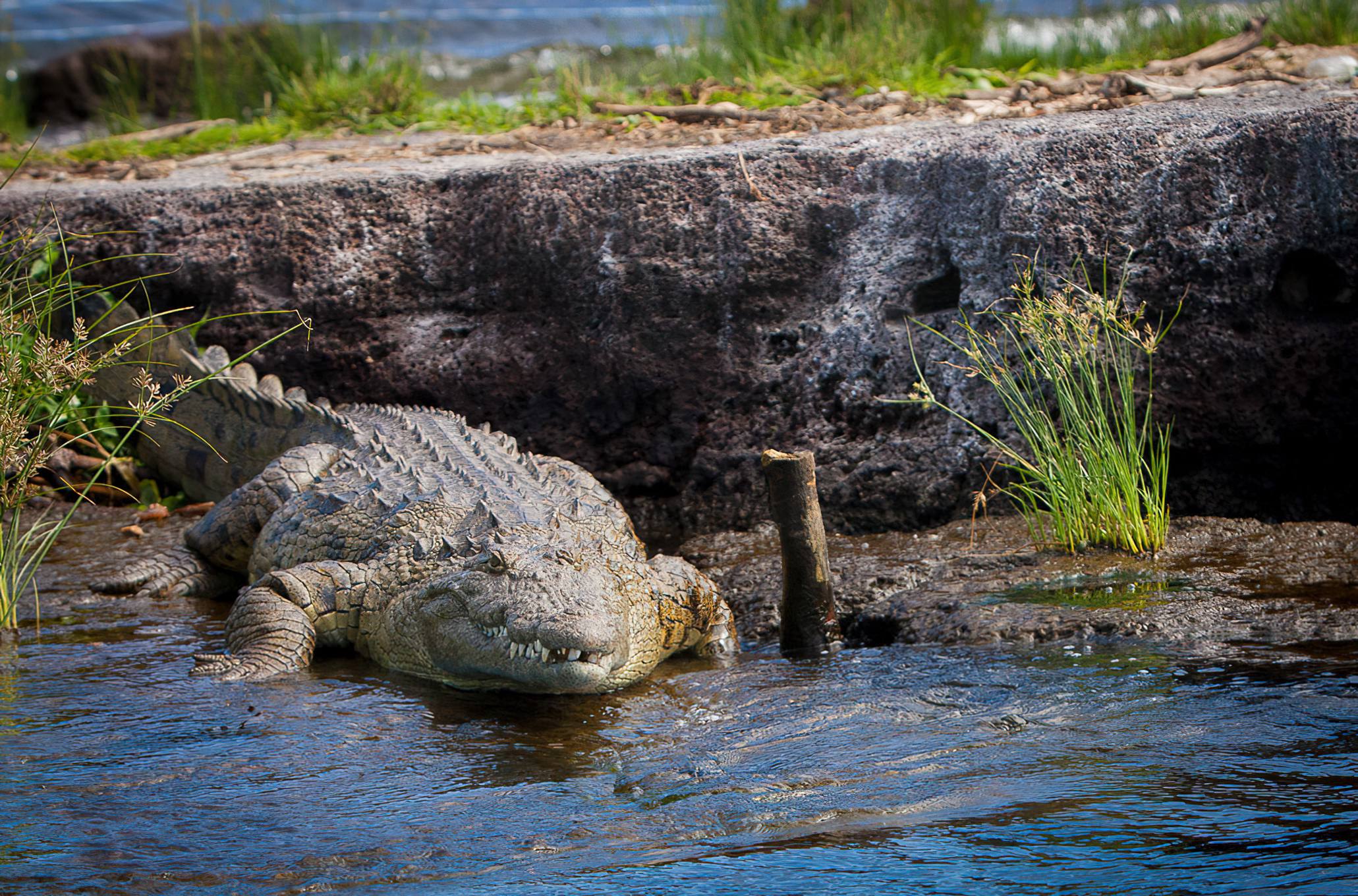 21 Days Tanzania Great Rift Lakes and Wildlife Safari Discovery