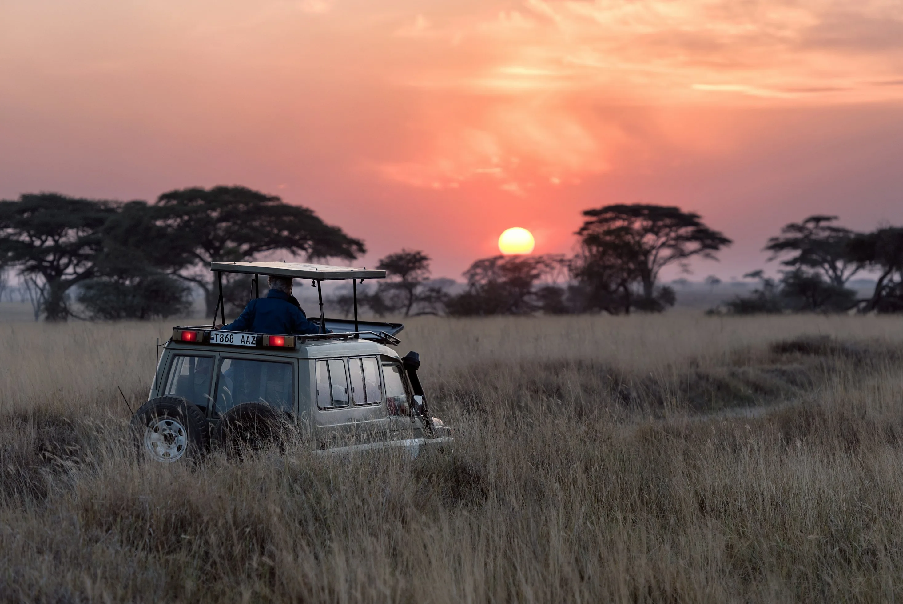 The Great Migration Safari